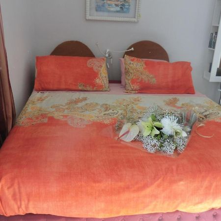 Apartments Gina Y Vista Oceano 푸에르토 델 카르멘 외부 사진